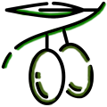 Icono Aceituna